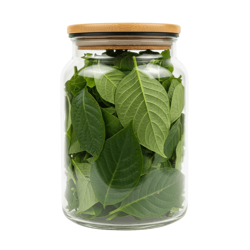 Certifikovaný produkt Vivadzen